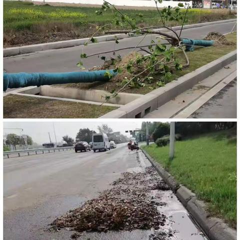 南通天润：无畏风雨，彰显环卫本色