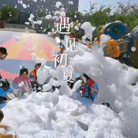 元气满满 向阳而生🌻