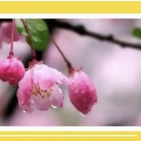 示范引领助成长，砥砺前行共芬芳