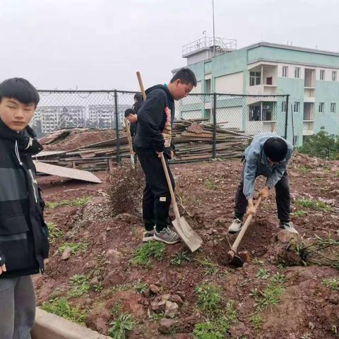 校园植树，美化校园