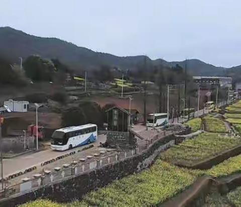 五（3）班金山村春季研学游