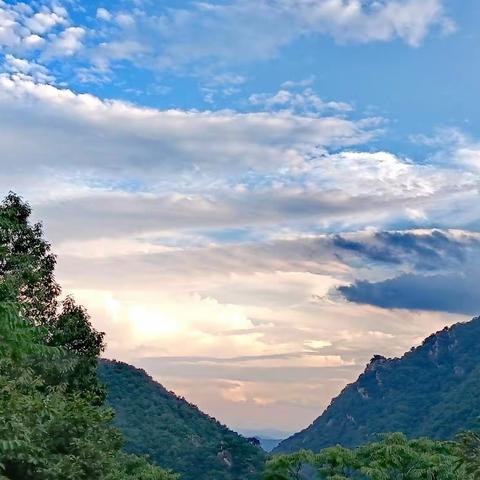 四月21号周日约伴  游山玩水天池山 或（杜鹃岭野线穿越）