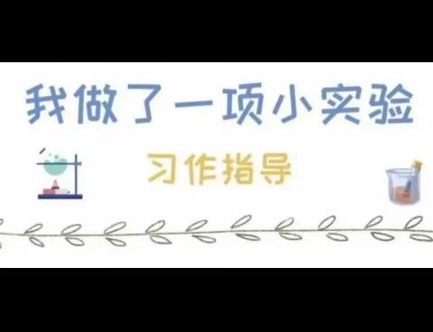 《我做了一项小实验》——三（1）孩子的小实验（续更）