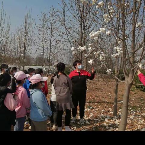 走进大自然，享受快乐的春天——东显阳小学春游踏青活动