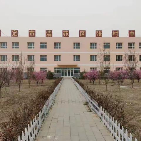 张村中学四月读书月活动方案