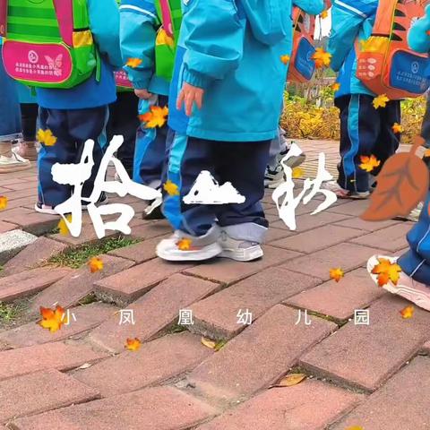 不负秋光，快乐出游——小凤凰幼儿园秋游记