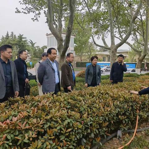 【趵突泉街道退役军人服务站】双拥爱民，共建大美趵突泉