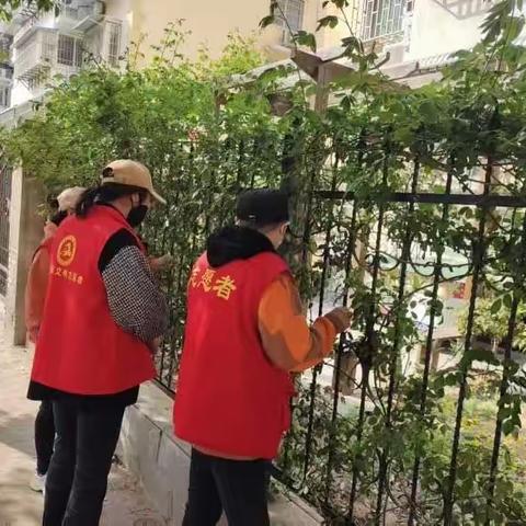 珍爱生命，远离毒品-金耀街道土城社区开展罂粟禁种铲毒宣传排查活动