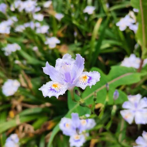 春暖花开，为你而来！