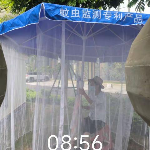 美兰区疾控中心针对登革热阳性病例涉及的区域开展布雷图监测工作