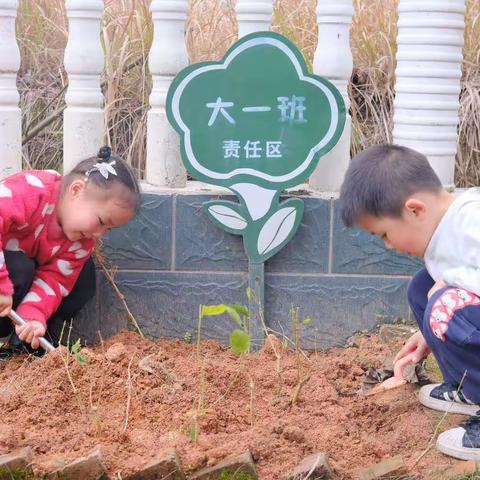 【白沙幼儿园大一班】2023年3月活动总结——《地球妈妈》