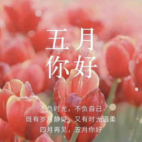 “浓情五月🌷因爱而美”——陈集第一幼儿园