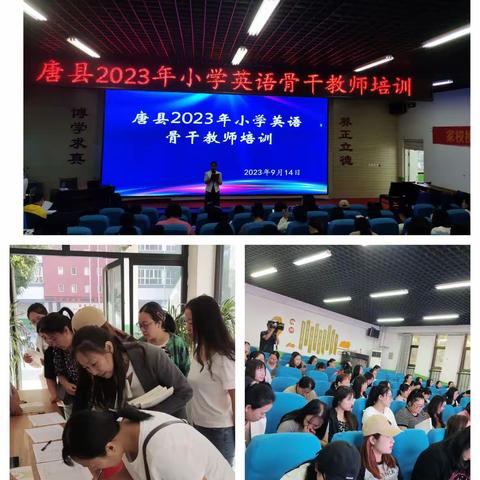 专家引路明方向  潜心研究促成长——唐县2023年小学英语骨干教师培训纪实