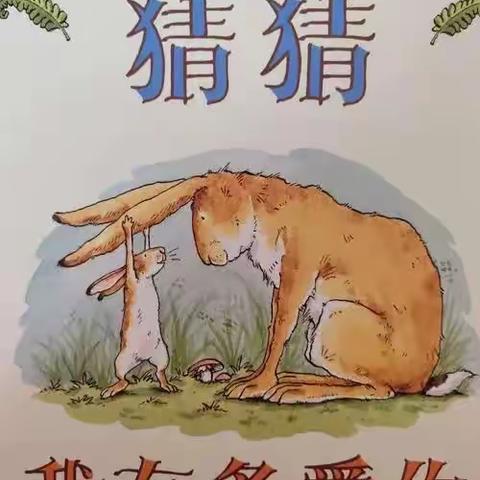 中班本周教学回顾