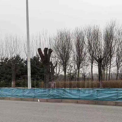 廊坊市安次区葛渔城镇3月31日冬防重点工作落实情况