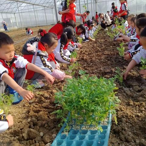 春日山水好书卷， 行走研学亦课堂 ——华英学校一年级（2）班研学旅行