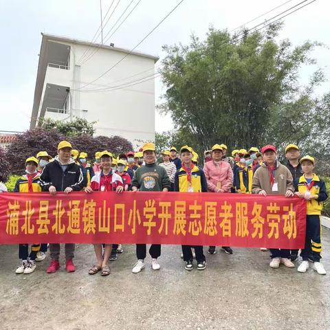 农耕体验 乐趣田间一一浦北县北通镇山口小学开展志愿者服务劳动（插秧）活动