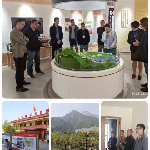 草堂街道开展区级人大代表视察工作