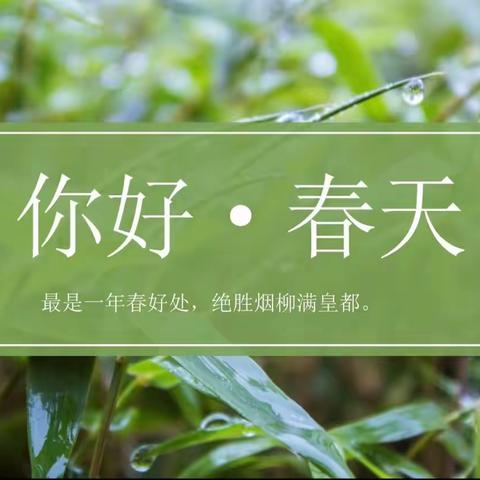 朱寨镇中心幼儿园中一班生成课程《你好春天🍃》