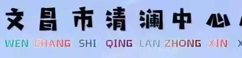 文昌市清澜中心小学国家智慧中小学平台应用培训与考核
