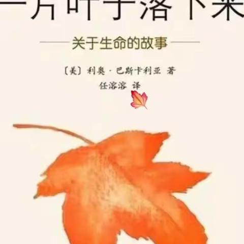 泉山幼儿园绘本推荐《一片叶子落下来》没有比这更好的生命教育故事了