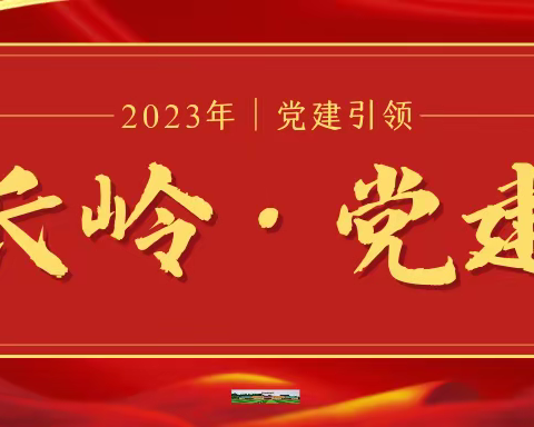 学习二十大精神，永葆廉洁守初心——长岭中学党支部开展4月主题党日活动