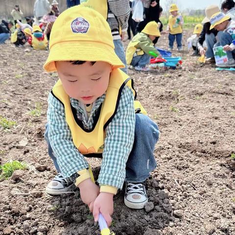 托六班·胡嘉泽四月份成长报告