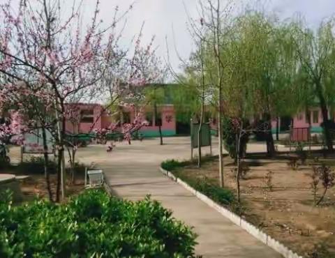 以赛促教 以教促研—南塔影学校青年教师素质赛活动记实