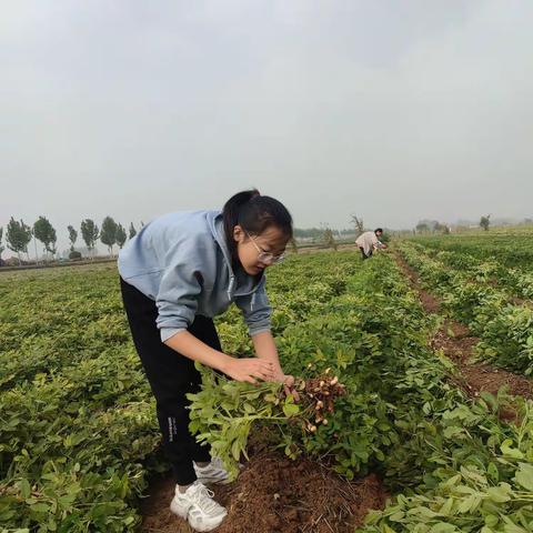 瞧！这帮劳动小能手 美食小专家