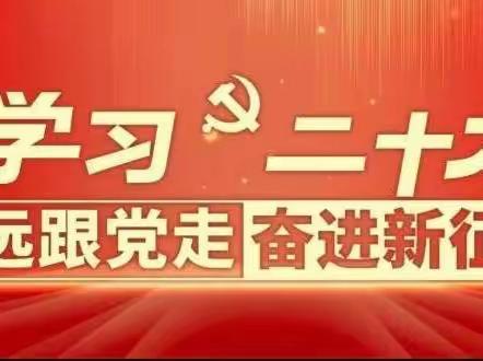 妙联学校党支部“学习二十大精神专题培训”