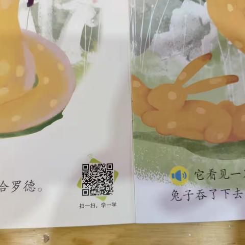 中班本周所学内容