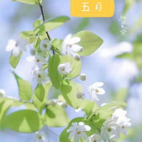 🌞温情五月·快乐成长🌻—博雅幼儿园小班五月份总结美篇🌈