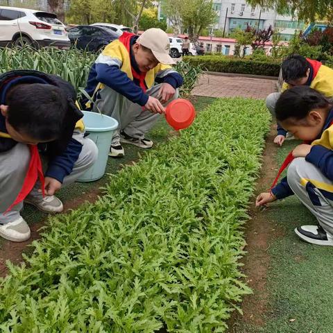 【“1238”战略领航】劳动最光荣 幸福要珍惜——特教学校举行劳动节系列主题教育活动