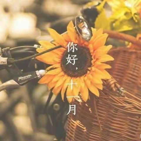 多彩十一月🍁快乐“每”一天🎈