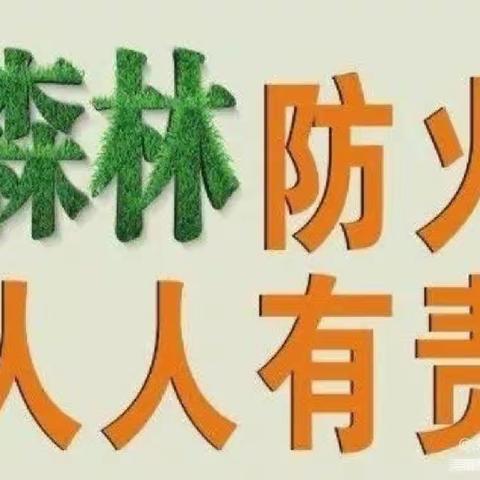 森林防火，人人有责——大庄镇草桥小学森林防火活动总结