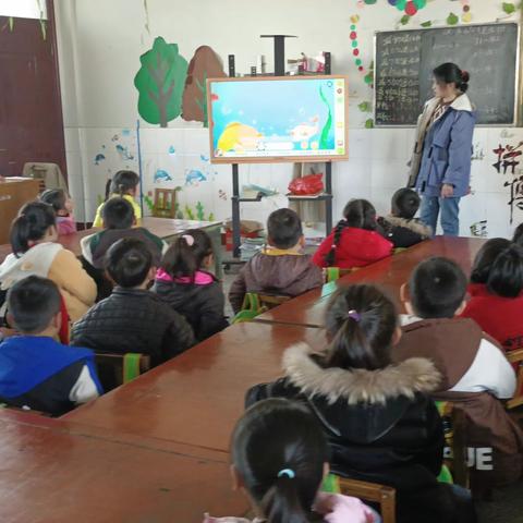 大班本周教学展示