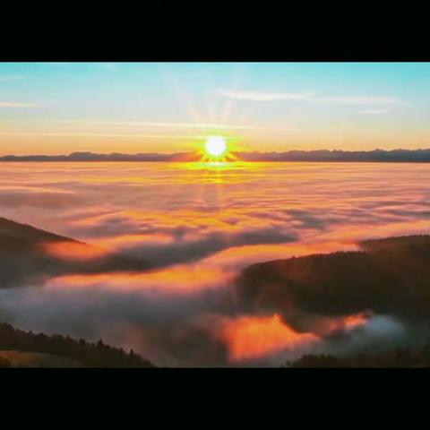 太原市实验小学第24届校运会纪实——中高年级篇