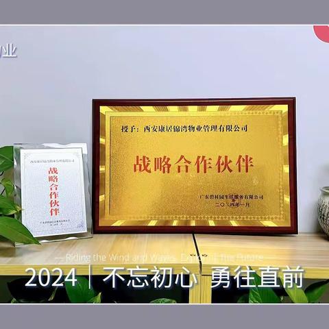 战略合作   提高服务