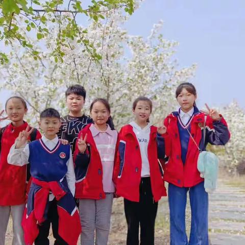 春色芳菲日，春游正当时——实验小学春游踏青活动