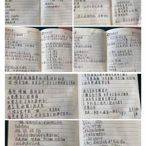 汲取名师智慧，提升育人能力