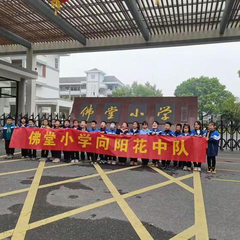 佛堂小学104班清明节主题活动一浓浓清明思一制作清明果