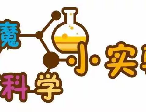 小螺号大六班科学小实验-----《密度与扩散》