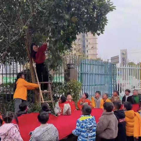 ✨黄杨郡幼儿园海星班冬日“柚”趣自然课程✨