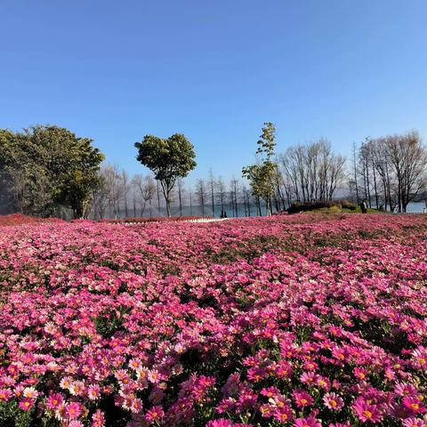 金梦雅3月生活小记录