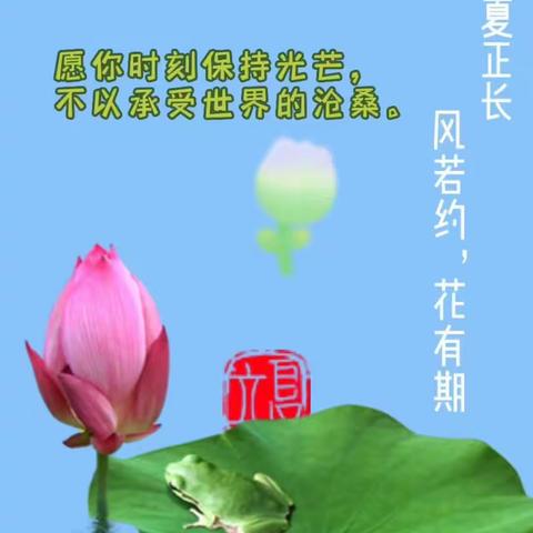 最美初夏，不负时光——九曲店宝贝乐幼儿园小一班