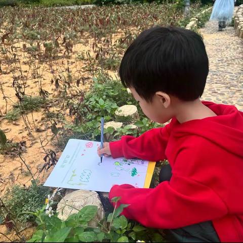 “寻‘野’记”——百色市右江区第四幼儿园中六班亲子春游活动纪实