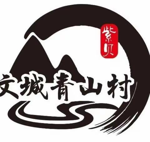 文城镇青山村助农产品（蜂蜜）国庆金秋大酬惠