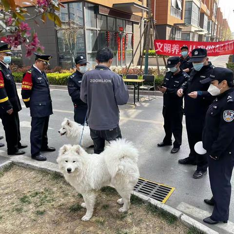 文明养犬，从我做起