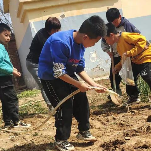 长垣市满村镇后满村小学开展“双减”下的劳动教育实践活动