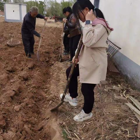 初三（1）班五·一劳动节劳动实践